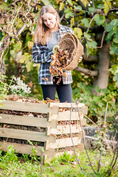 istock Smiling Young Woman Putting Leaves on Compost 1007108776