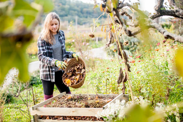 Smiling Young Woman Putting Leaves on Compost Smiling Young Woman Putting Leaves on Compost. compost stock pictures, royalty-free photos & images