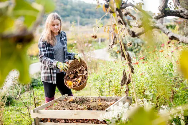 Photo of Smiling Young Woman Putting Leaves on Compost