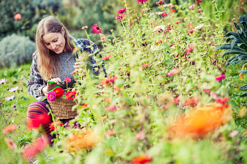 Young Woman Enjoying Picking Up Flowers in a Garden.
