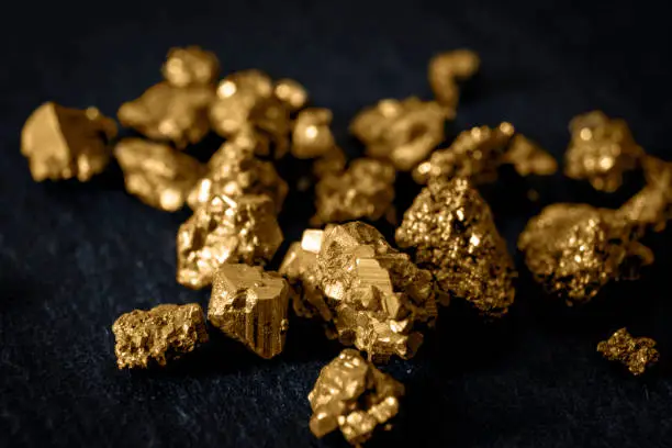 Gold mining and and investment in precious metals concept with close up on golden nuggets on a black background
