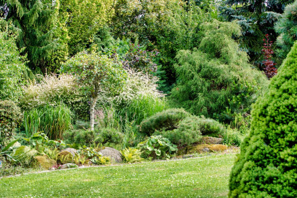 istock Beautiful colored summer garden 1007121660