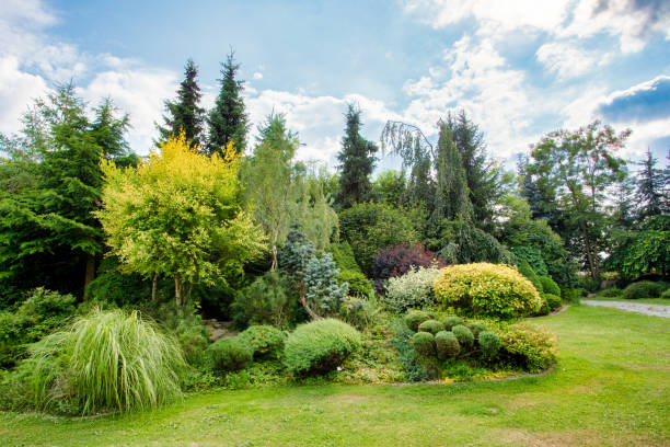 istock Beautiful colored summer garden 1007121662