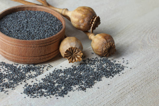 istock Seeds of poppies 1007123286