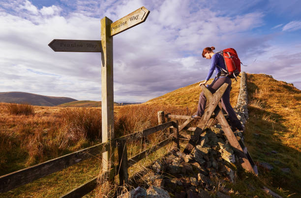 The Pennine Way A woman crossing a stile on the Pennine Way, English Countryside walk.UK pennines photos stock pictures, royalty-free photos & images