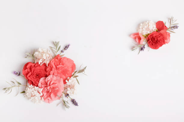 istock Festive flower composition on the white wooden background. Overhead view 1007131048