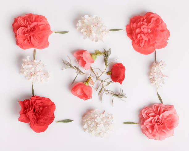istock Festive flower composition on the white wooden background. Overhead view 1007133812