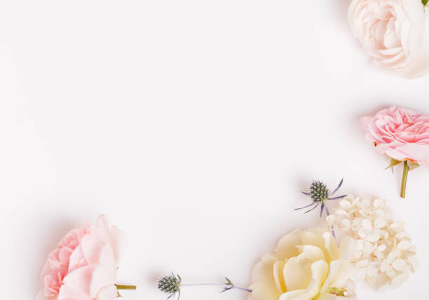 istock Sweet color fabric roses in soft style for background 1007135870