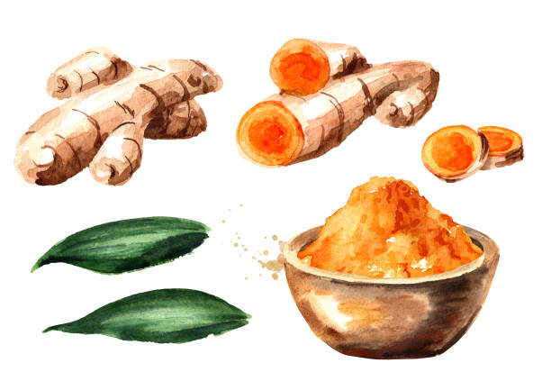 illustrazioni stock, clip art, cartoni animati e icone di tendenza di radice di curcuma e set di polvere. illustrazione disegnata a mano ad acquerello, isolata su sfondo bianco - anticancer