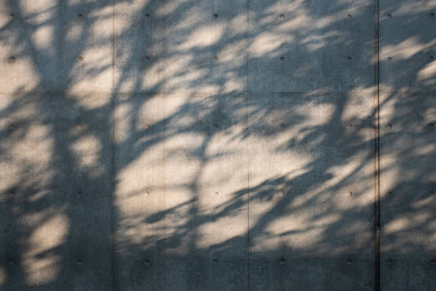 istock Concrete wall and shadows of trees. 1007141118