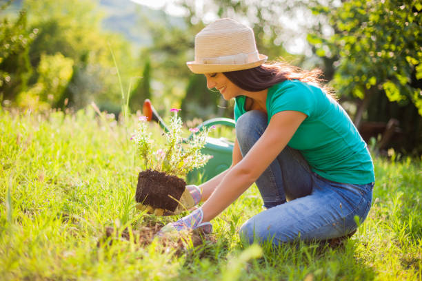 istock Woman gardening 1007148874