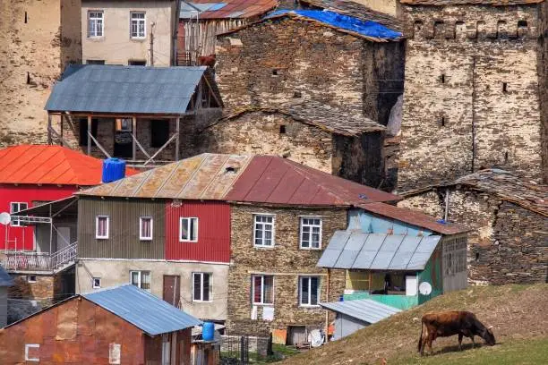 Texture of old stone houses. Georgia, Tbilisi, Batumi, Svanetia, Mestia. In the foreground a cow grazes
