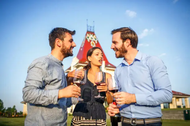 Photo of Group of people drinking wine near the castle