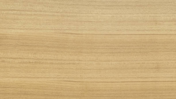 istock Light wood texture. Clean wood background. 1007152672