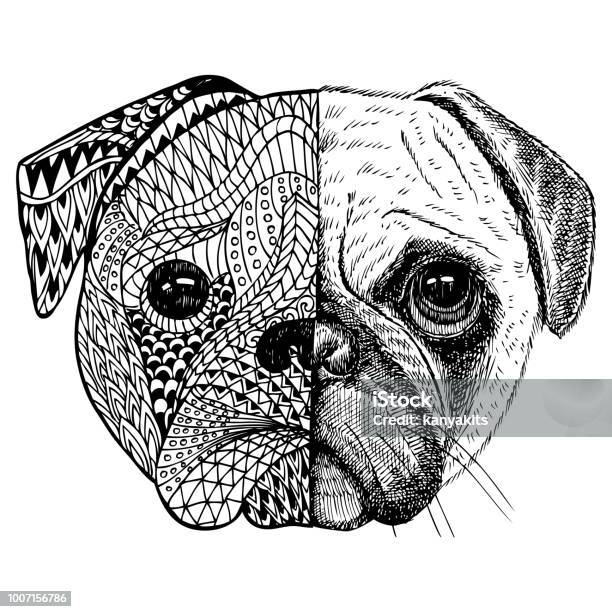 Abstract Design Hand Drawn Pug Vector Illustration Stock Illustration - Download Image Now