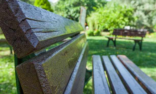 istock garden wooden chair 1007157372
