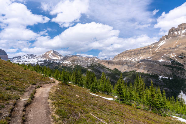 istock awesome landscape,banff national park 1007169100