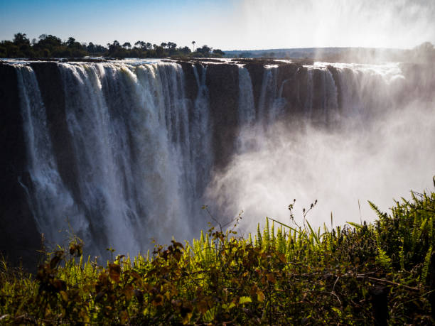 istock The Victoria Falls in Zimbabwe 1007172654