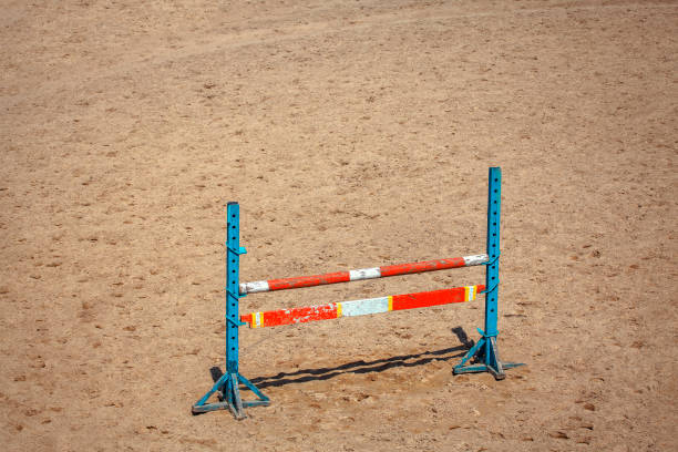 istock barrier for equestrian sport 1007172740