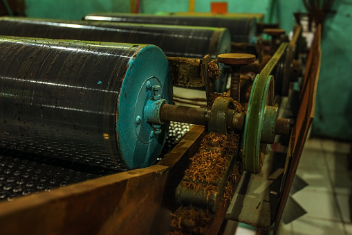 Heavy roller machine in tea processing factory, some dried leaves on rusty appliance parts.