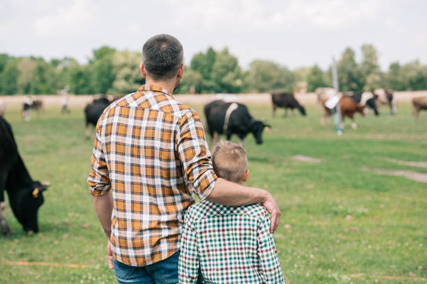 back view of father and son standing together and looking at cows grazing on farm - boyhood imagens e fotografias de stock