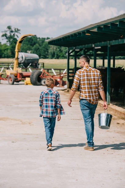 バケツと牧場で一緒に歩くの幼い息子を持つ父の背面図 - boyhood ストックフォトと画像