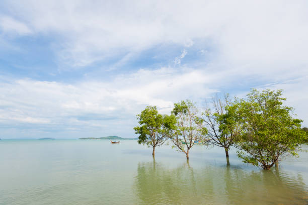 istock Landscape Koh Lanta Old Town 1007189434