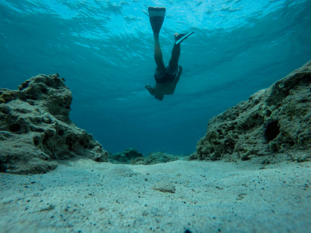 homme de natation sur fond de mer - coral break photos et images de collection