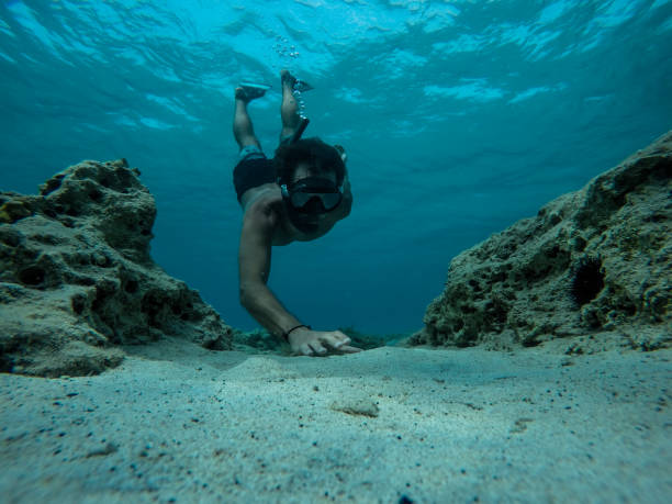 plongeur libre atteignant des coquillages au fond de la mer - coral break photos et images de collection