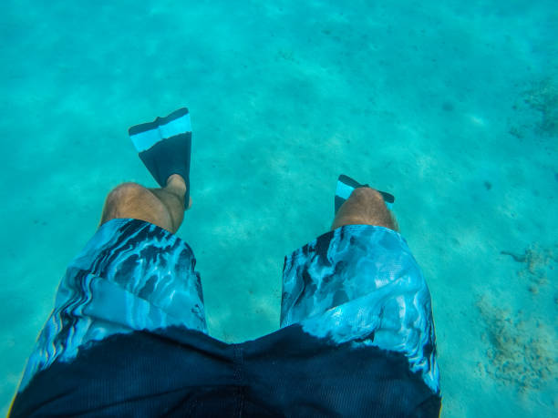 istock Floating in the sea 1007189860
