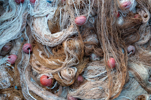 istock Fishing net close up detail 1007190262