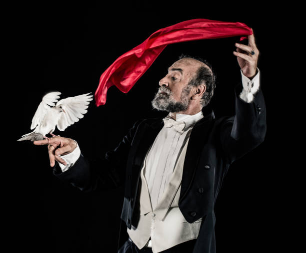Magician doing trick with doves stock photo