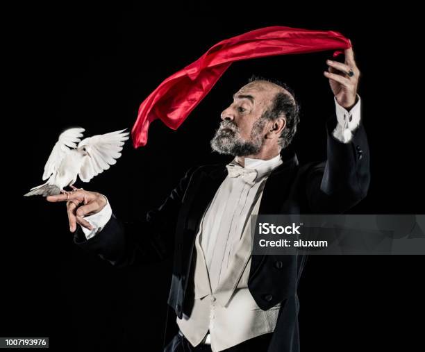 Magician Doing Trick With Doves Stock Photo - Download Image Now - Magician, Wizard, Illusion