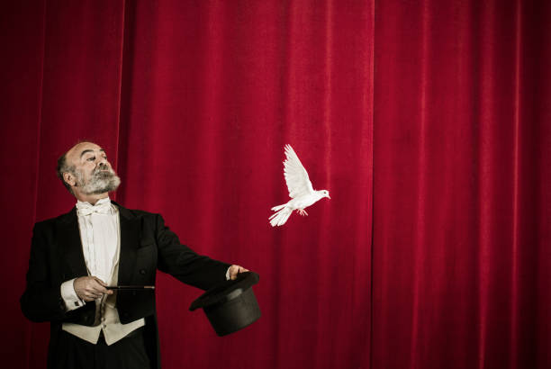 magician trick with doves - magic trick imagens e fotografias de stock