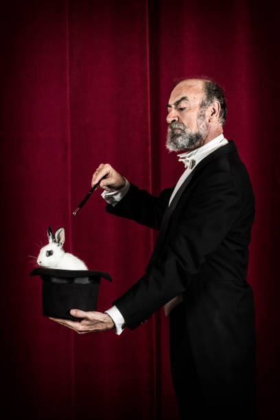 Rabbit in tophat of magician