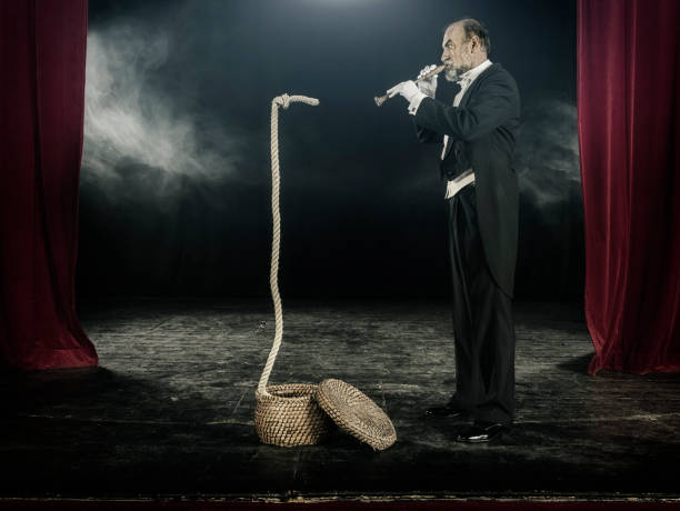 istock Magician doing snake charmer trick with rope 1007194002
