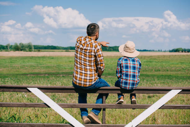 back view of father and son sitting on fence and looking at green  field - boyhood imagens e fotografias de stock