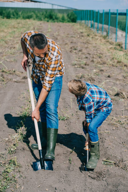istock high angle view of father and son looking at each other while working with shovels in field 1007194638