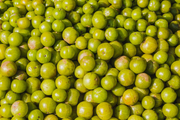 istock Lots of Nepali Gooseberry or Amala 1007197964