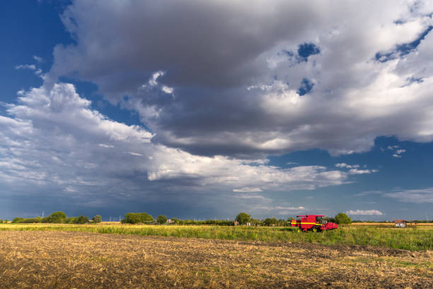 istock Red combine harvester in the field 1007199070
