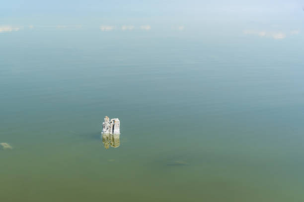 drewniane filary ze skrystalizowanym solą na jeziorze słonym urmia. iran - lake urmia zdjęcia i obrazy z banku zdjęć