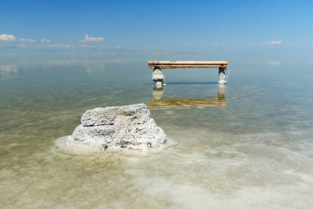 kamień ze skrystalizowanym solą na urmia salt lake. iran - lake urmia zdjęcia i obrazy z banku zdjęć