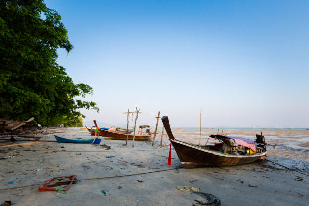 istock Tropical landscape of Koh Mook 1007208984