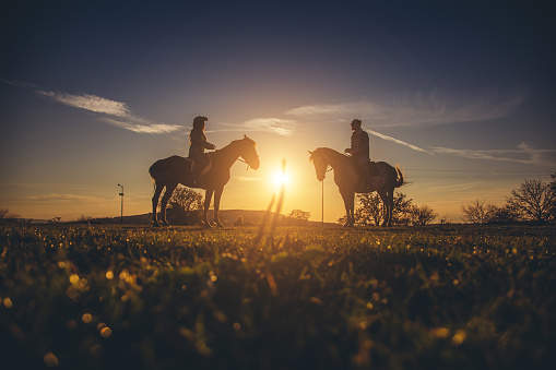Silhouettes of young man and woman sitting on horsebacks at sunset, on a field.