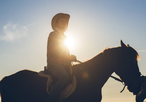 istock Cowboy riding a brown horse at sunset 1007213748
