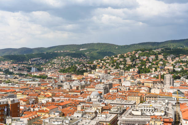 istock Trieste city and mountains in Italy 1007217720