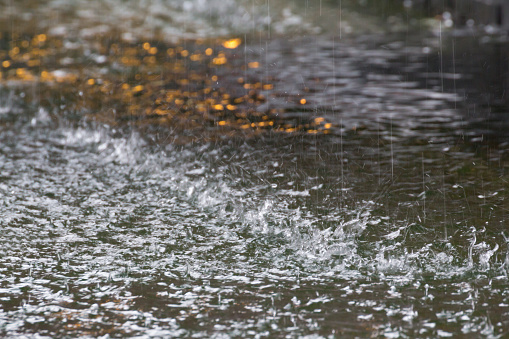 raining on water surface of pool. Concept: weather forecast raining