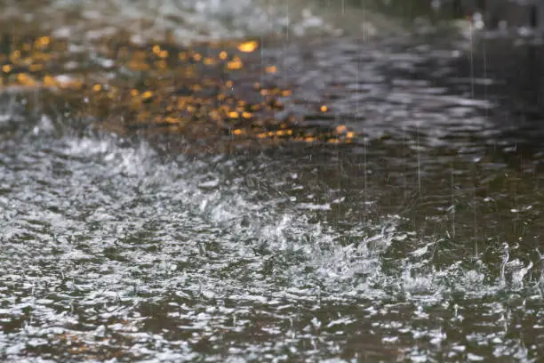 Photo of raining on water surface of pool. Concept: weather forecast raining