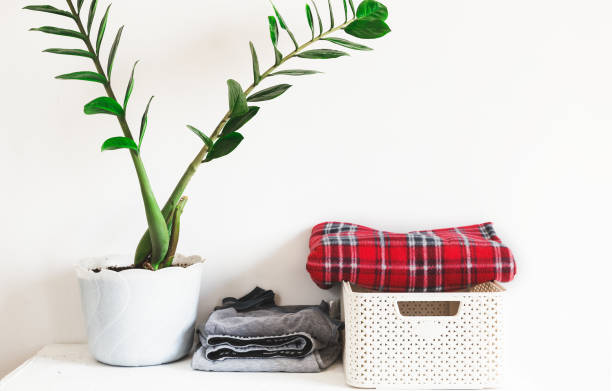 istock Notebook and books, red plaid, flower in a white pot, stand on a light table, against background a white wall. Scandinavian style. Copy space 1007225690
