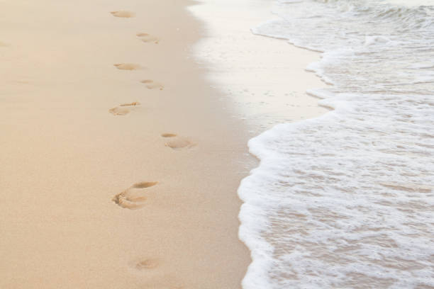 Footprints on a tropical white sand beach